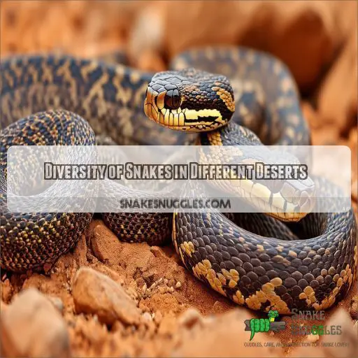 Diversity of Snakes in Different Deserts