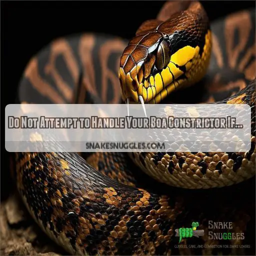 Do Not Attempt to Handle Your Boa Constrictor If…