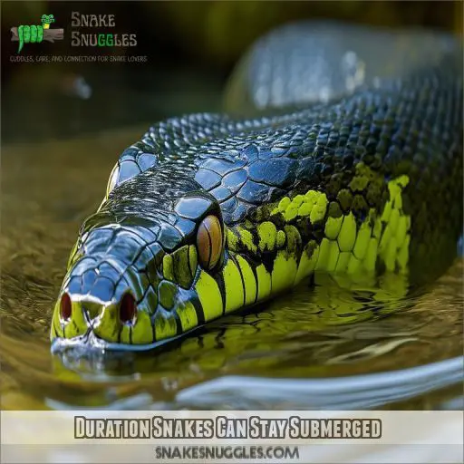 Duration Snakes Can Stay Submerged