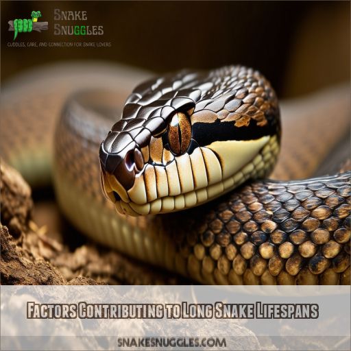 Factors Contributing to Long Snake Lifespans