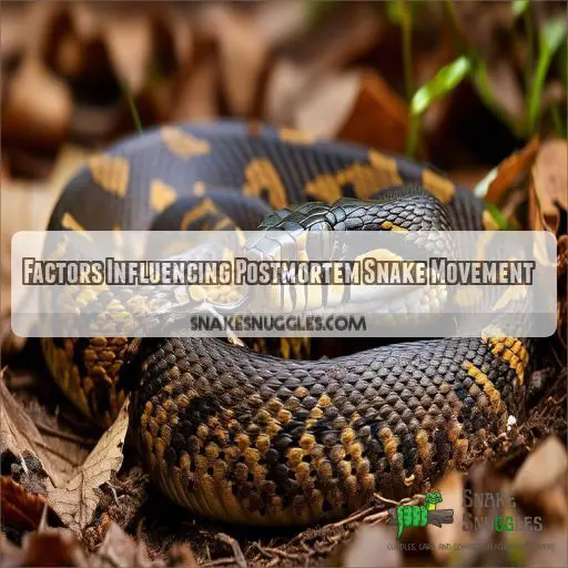 Factors Influencing Postmortem Snake Movement