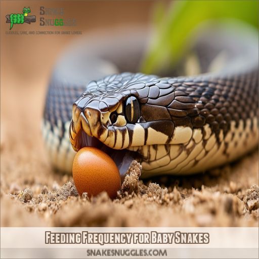 Feeding Frequency for Baby Snakes