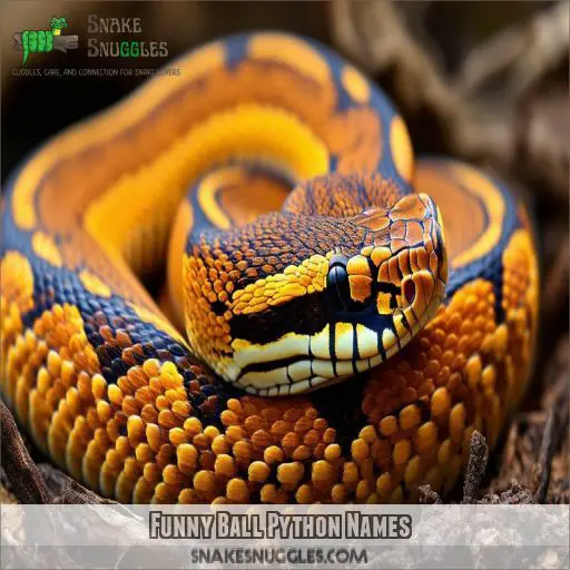 Funny Ball Python Names