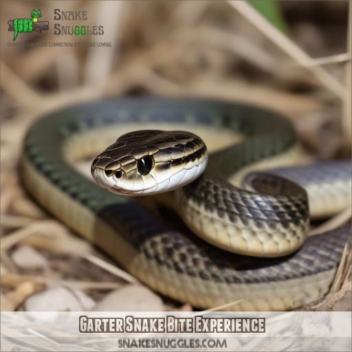 Garter Snake Bite Experience