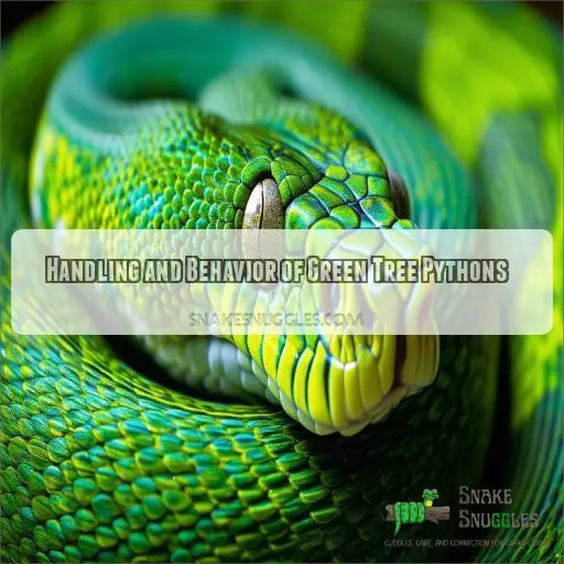 Handling and Behavior of Green Tree Pythons