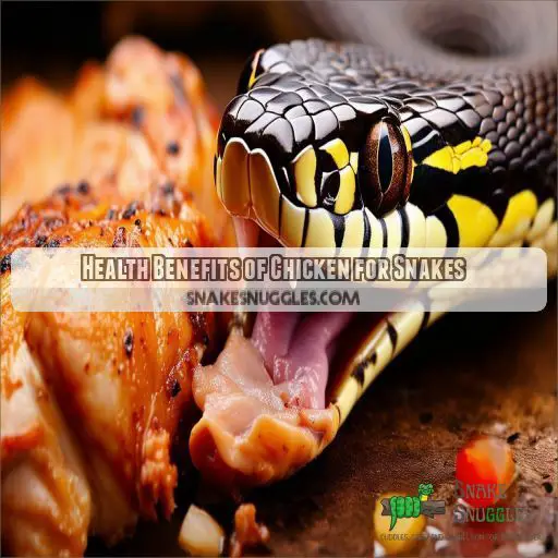 Health Benefits of Chicken for Snakes