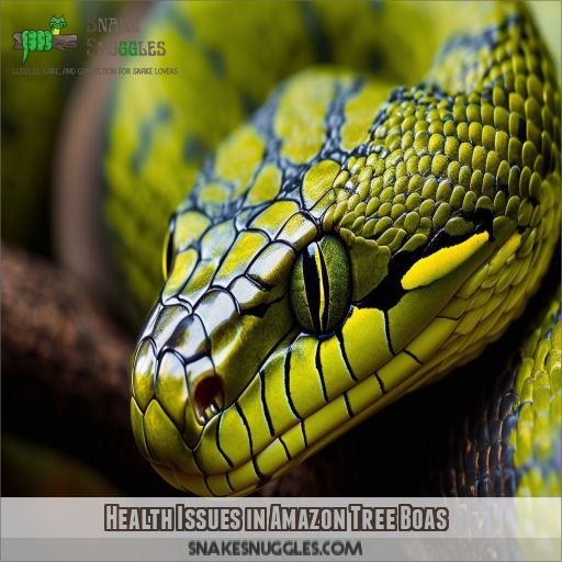 Amazon Tree Boas Care, Habitat, Behavior, Health, and Breeding Guide