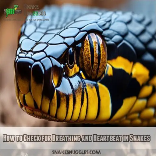 How to Check for Breathing and Heartbeat in Snakes