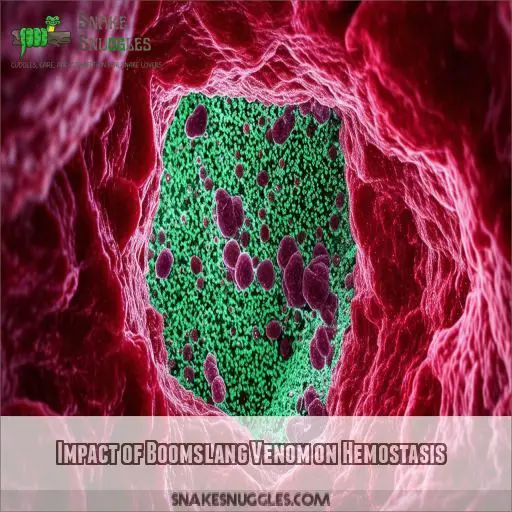 Impact of Boomslang Venom on Hemostasis