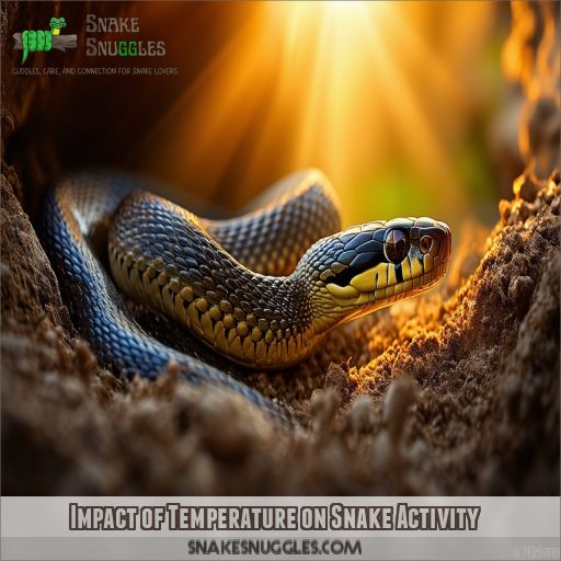 Impact of Temperature on Snake Activity