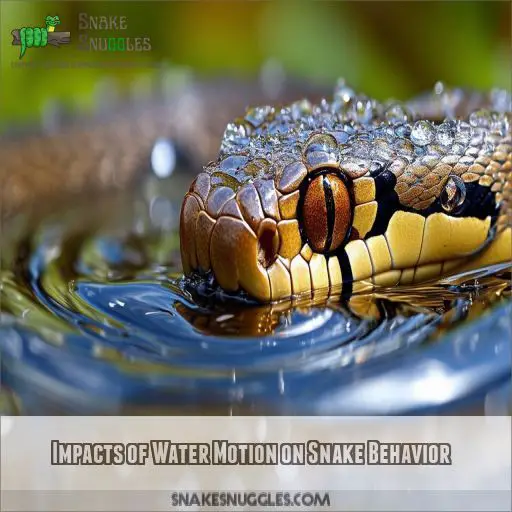 Impacts of Water Motion on Snake Behavior