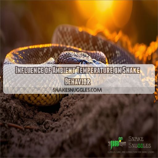 Influence of Ambient Temperature on Snake Behavior