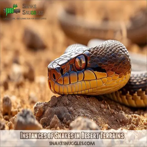 Instances of Snakes in Desert Terrains