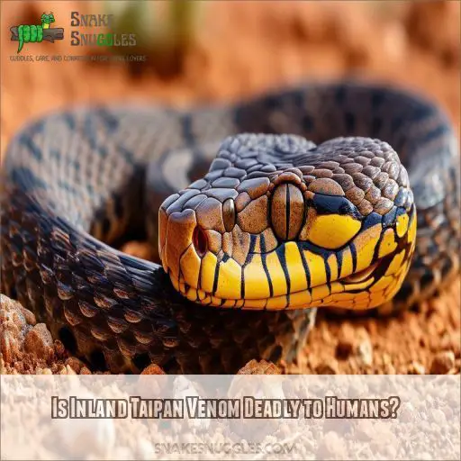 Is Inland Taipan Venom Deadly to Humans