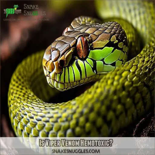 Is Viper Venom Hemotoxic