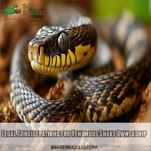 Legal Considerations for Venomous Snake Ownership