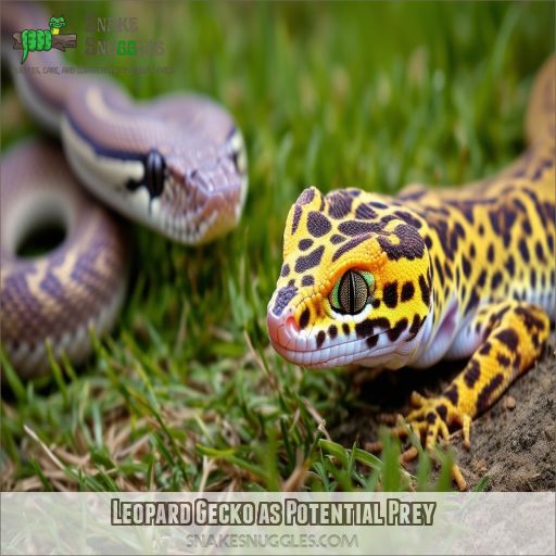 Leopard Gecko as Potential Prey