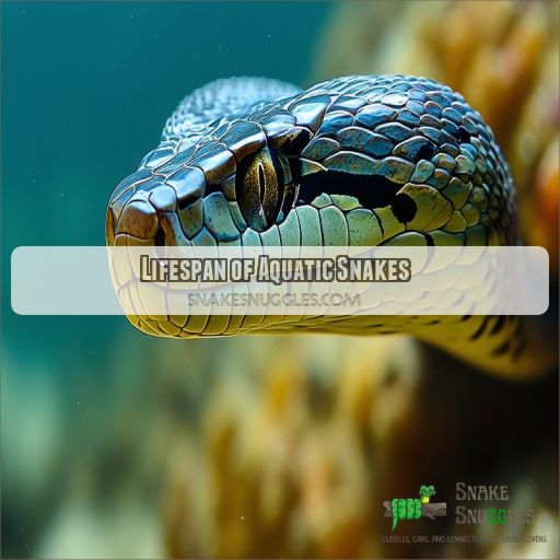 Lifespan of Aquatic Snakes