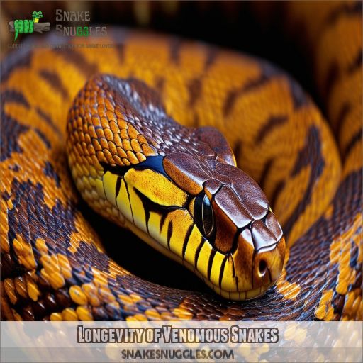 Longevity of Venomous Snakes