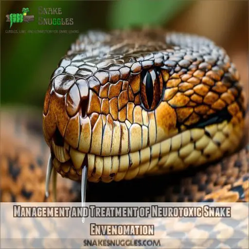 Management and Treatment of Neurotoxic Snake Envenomation