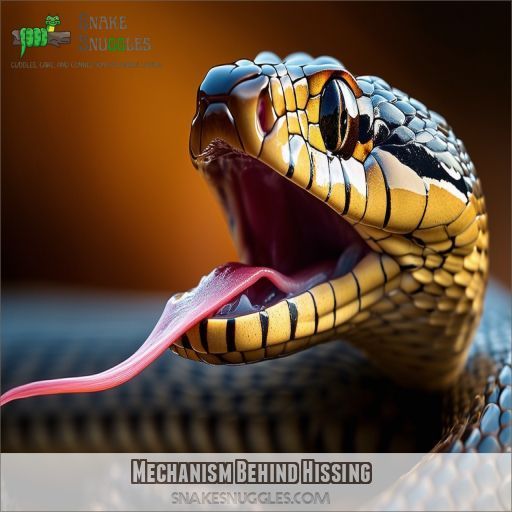 Mechanism Behind Hissing