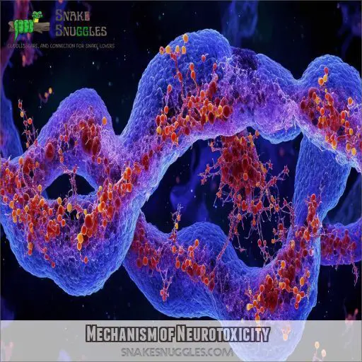 Mechanism of Neurotoxicity