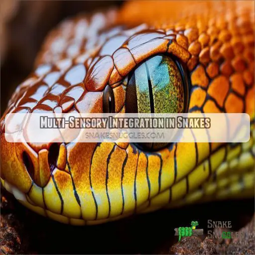 Multi-Sensory Integration in Snakes