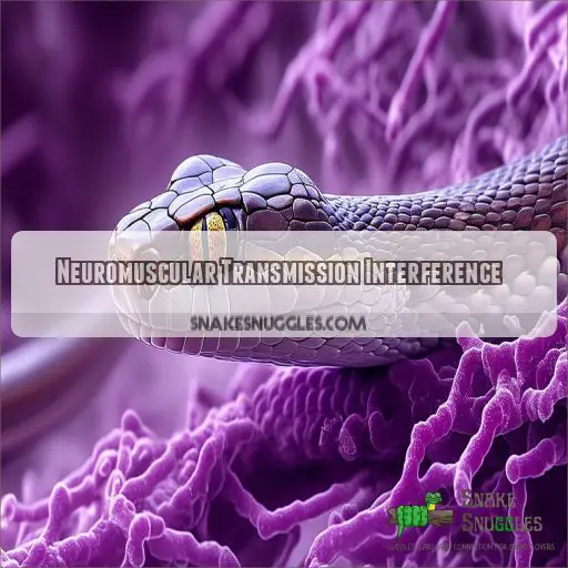 Neuromuscular Transmission Interference