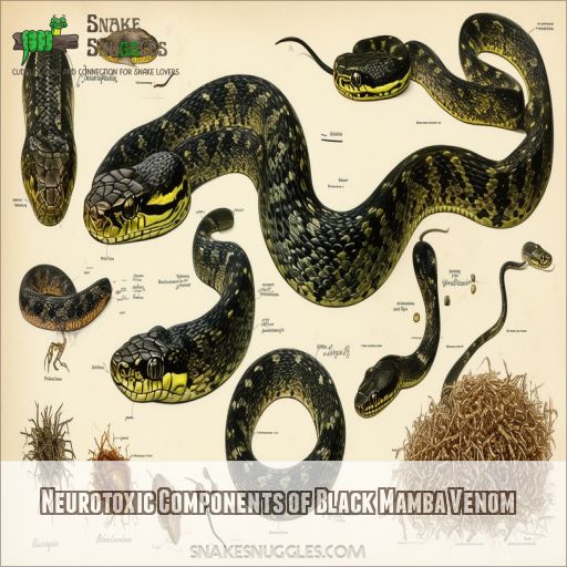 Neurotoxic Components of Black Mamba Venom