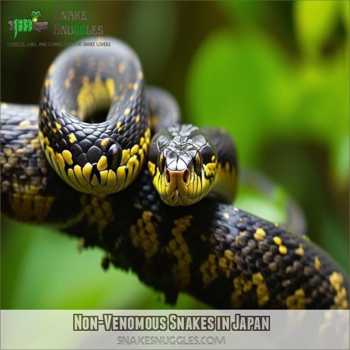 Non-Venomous Snakes in Japan