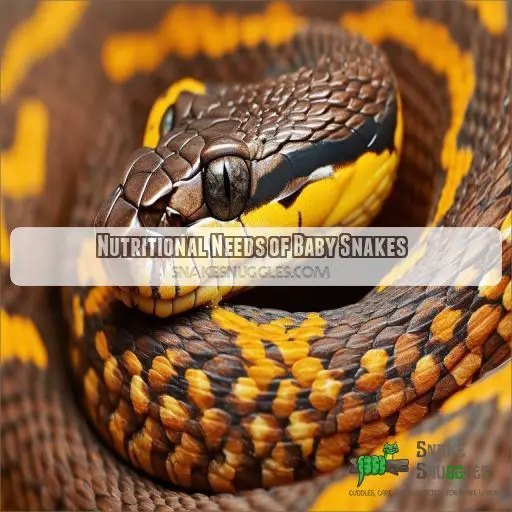 Nutritional Needs of Baby Snakes