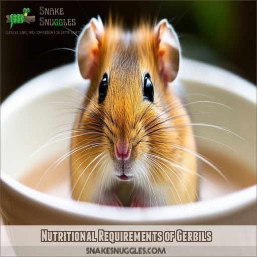 Nutritional Requirements of Gerbils