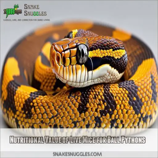 Nutritional Value of Live Mice for Ball Pythons