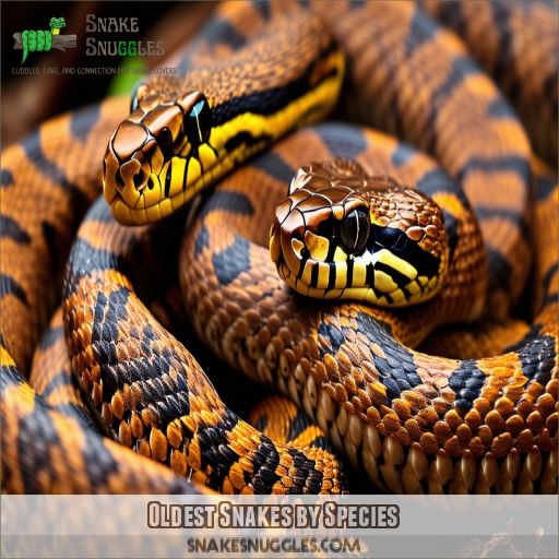 Oldest Snakes by Species