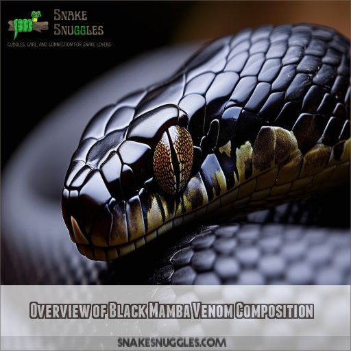 Overview of Black Mamba Venom Composition