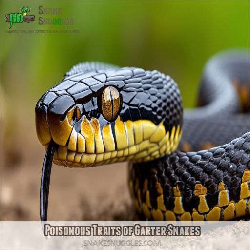 Poisonous Traits of Garter Snakes