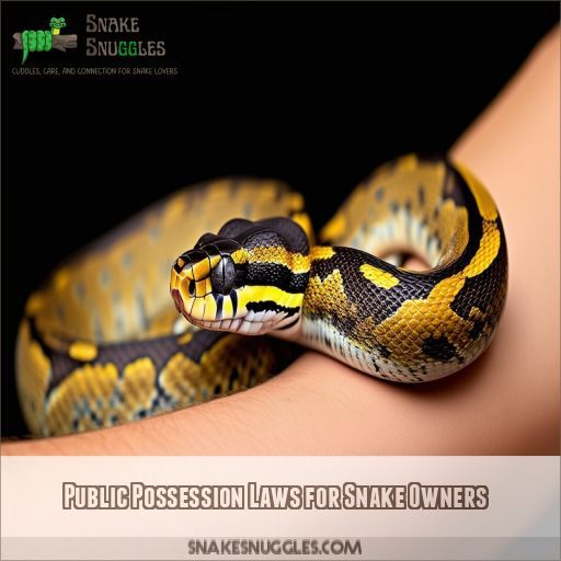 Public Possession Laws for Snake Owners