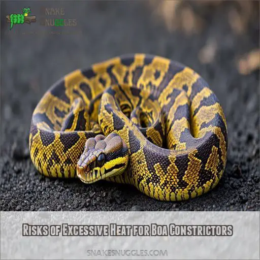 Risks of Excessive Heat for Boa Constrictors