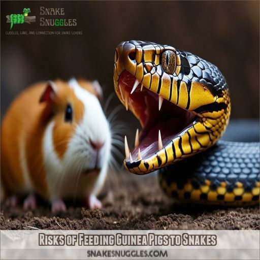 Risks of Feeding Guinea Pigs to Snakes