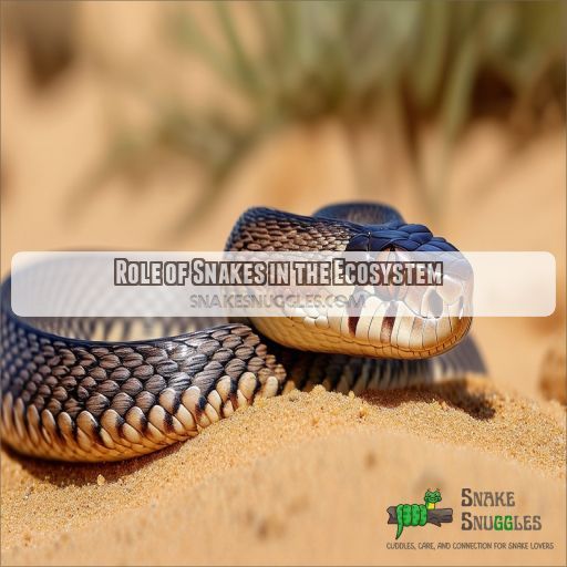 Role of Snakes in the Ecosystem