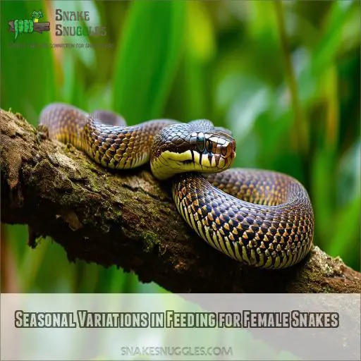 Seasonal Variations in Feeding for Female Snakes