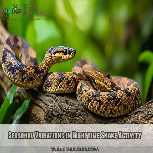 Seasonal Variations in Nighttime Snake Activity