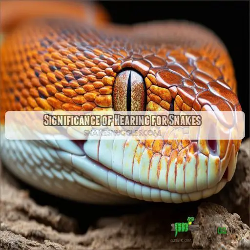 Significance of Hearing for Snakes