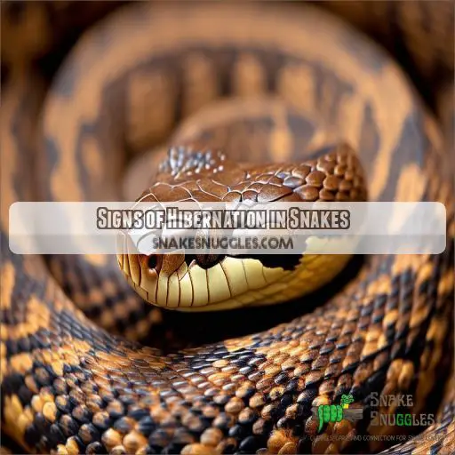 Signs of Hibernation in Snakes