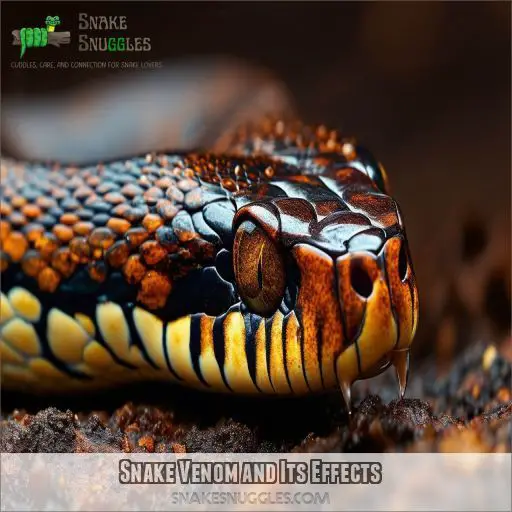 Snake Venom and Its Effects