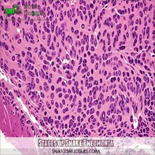 Stages of Snake Pneumonia