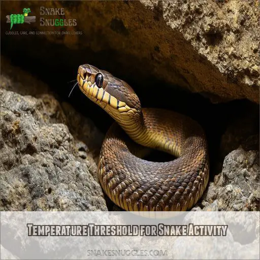 Temperature Threshold for Snake Activity