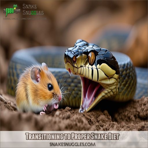 Transitioning to Proper Snake Diet