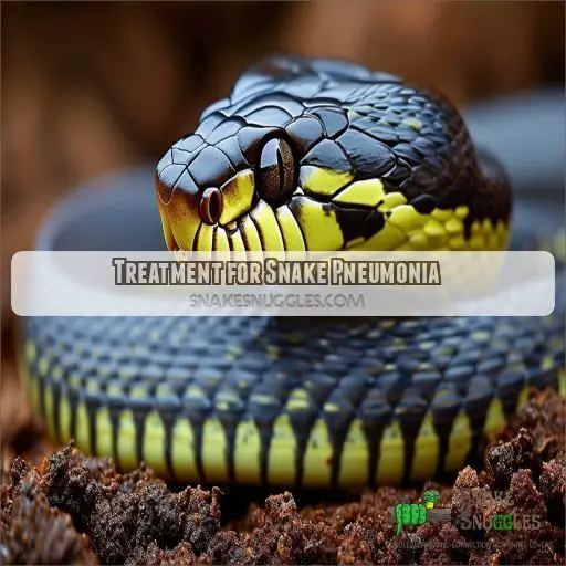 Treatment for Snake Pneumonia