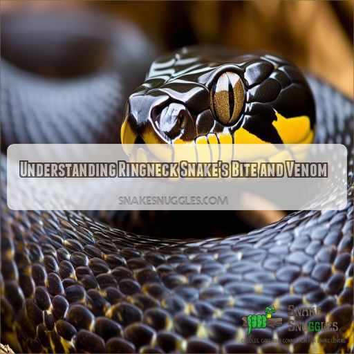 Understanding Ringneck Snake